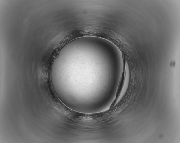 X0000090990751200708091518