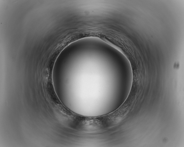 X0000090990752200708091518