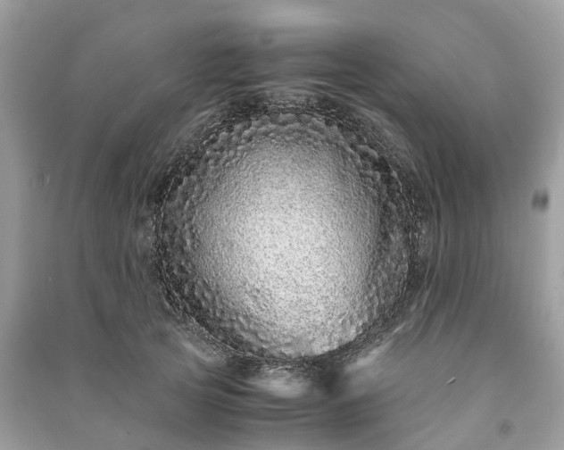 X0000090990753200708091518