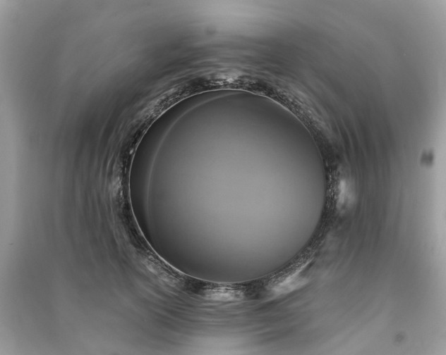 X0000090990754200708091518