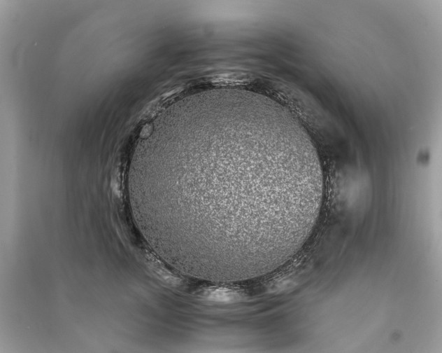 X0000090990755200708091518