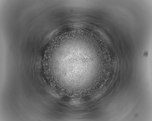 X0000090990757200708091518