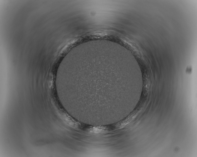 X0000090990758200708091519