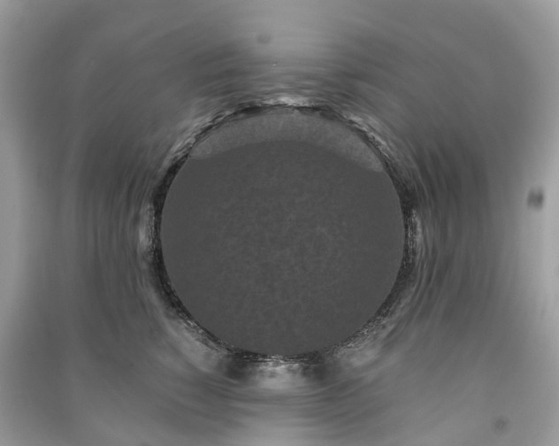 X0000090990760200708091519