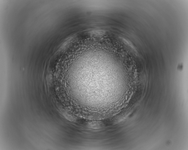 X0000090990761200708091519