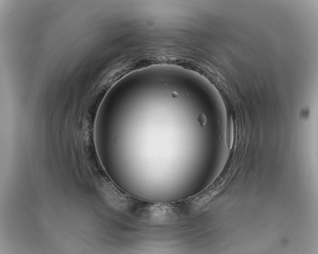 X0000090990762200708091519