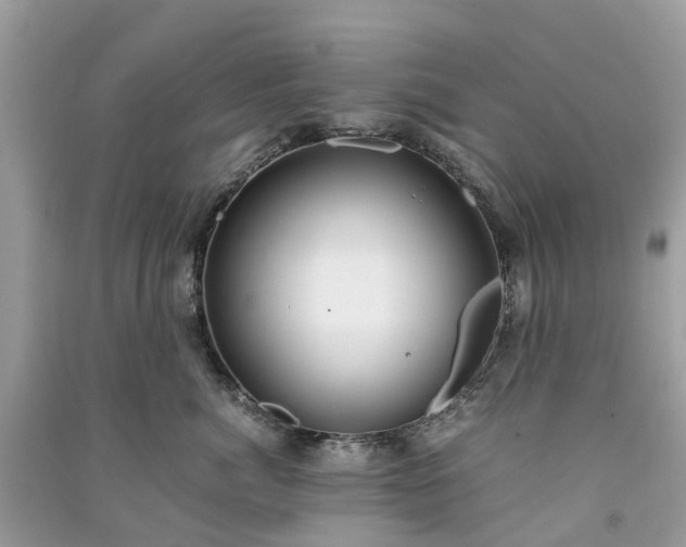 X0000090990764200708091519