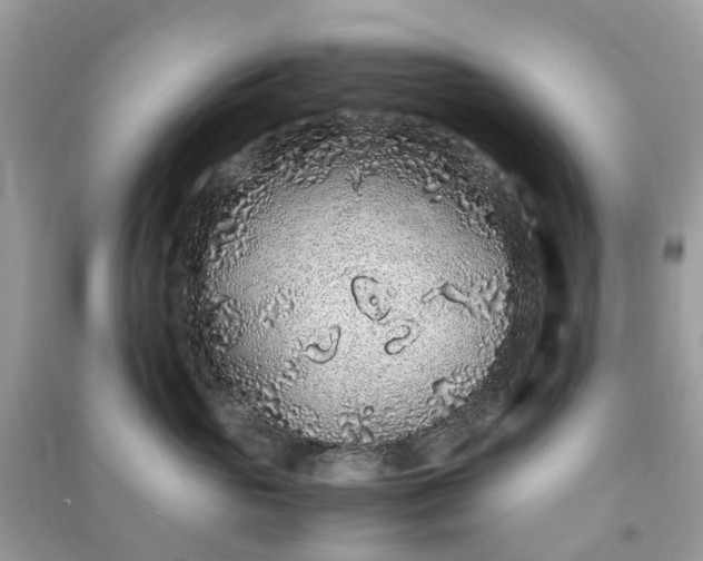 X0000090990765200708091519