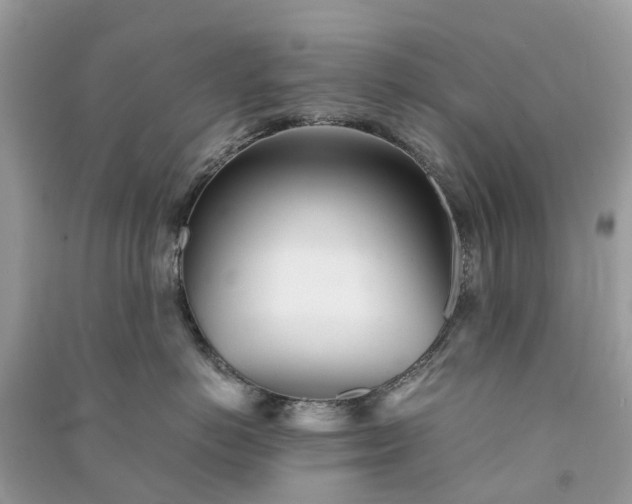 X0000090990766200708091519