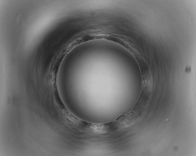 X0000090990767200708091519