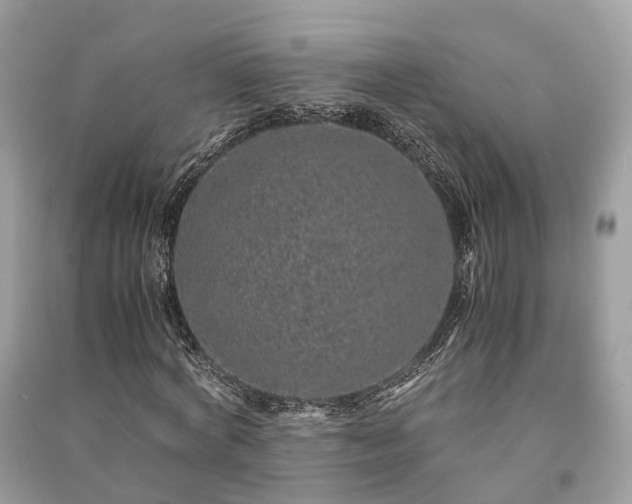 X0000090990772200708091518