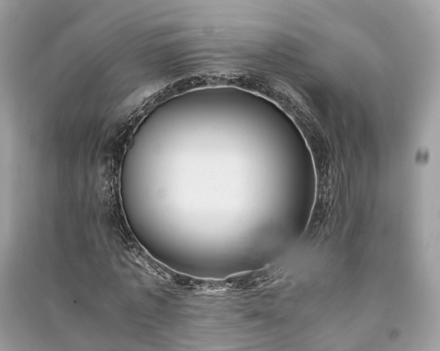 X0000090990773200708091518