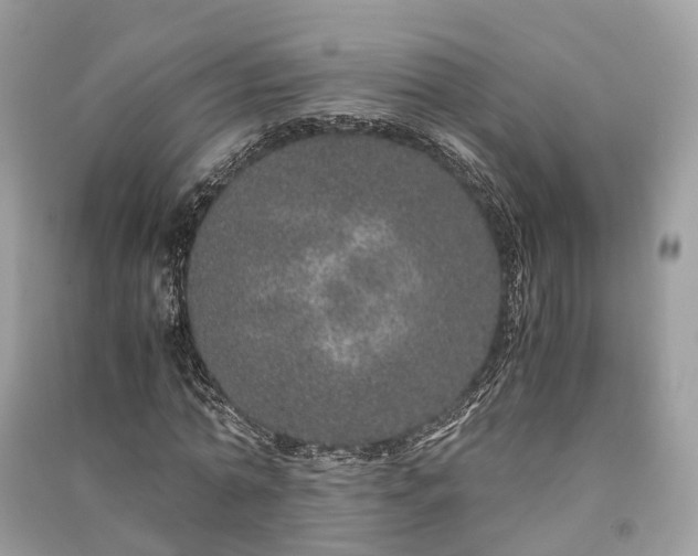 X0000090990774200708091518