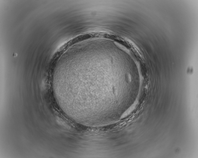 X0000090990775200708091518