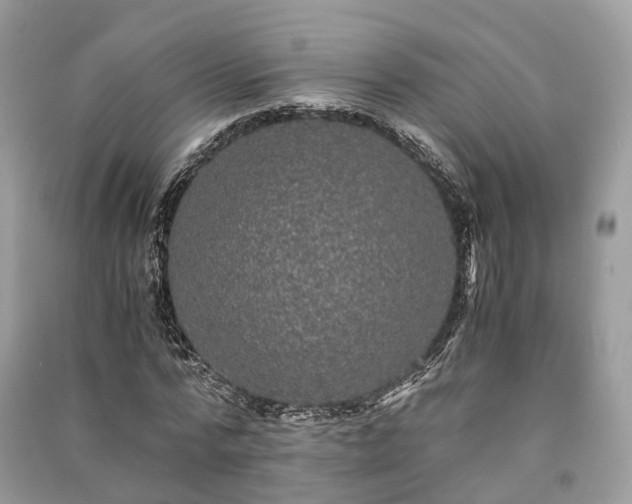 X0000090990776200708091518