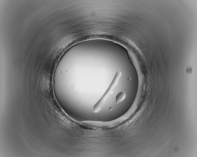 X0000090990777200708091518