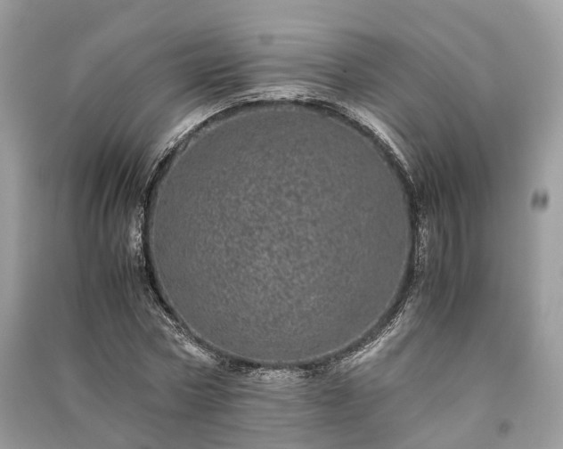 X0000090990778200708091518