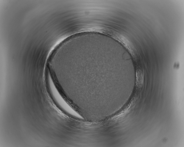 X0000090990780200708091518