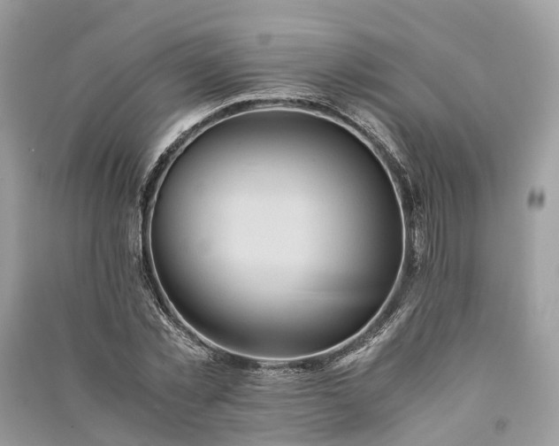 X0000090990781200708091518