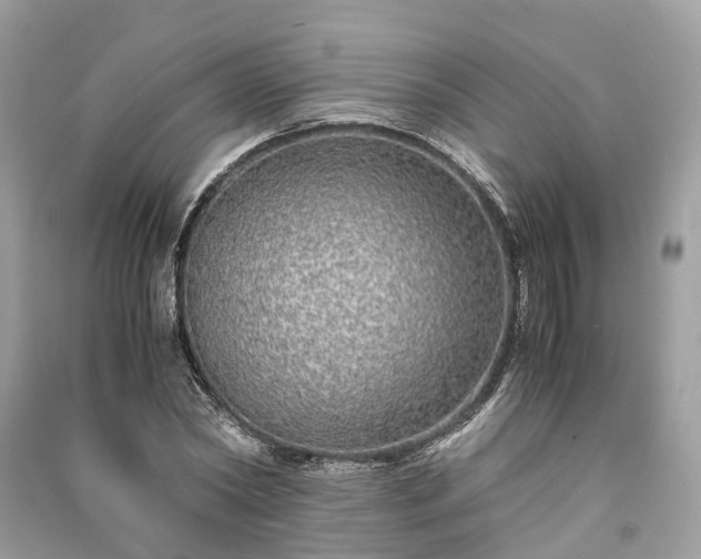 X0000090990782200708091518