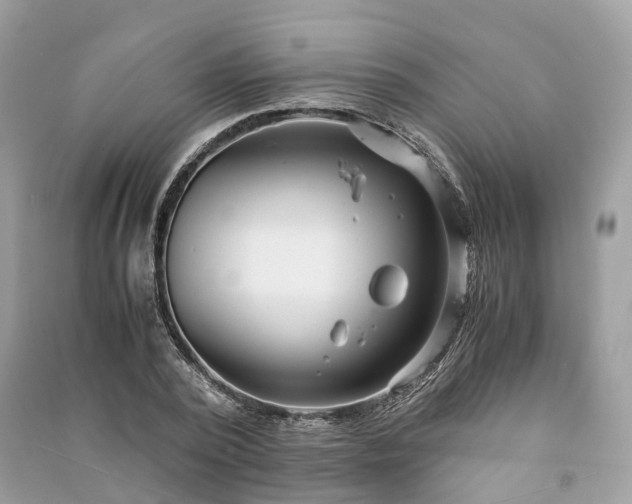 X0000090990784200708091518