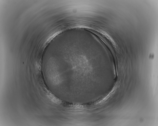 X0000090990785200708091518