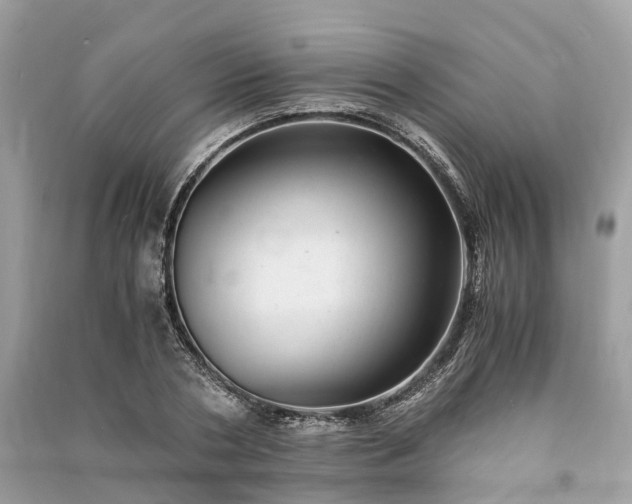 X0000090990786200708091518