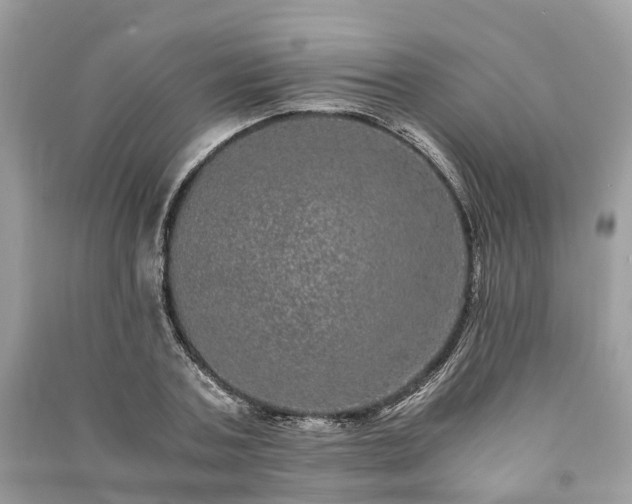 X0000090990787200708091518