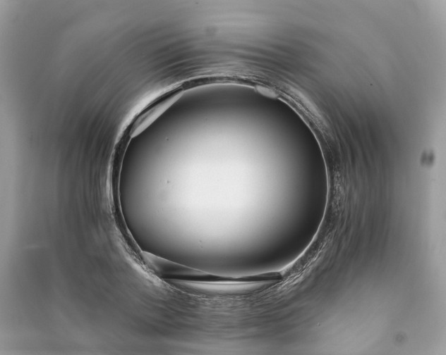 X0000090990788200708091518