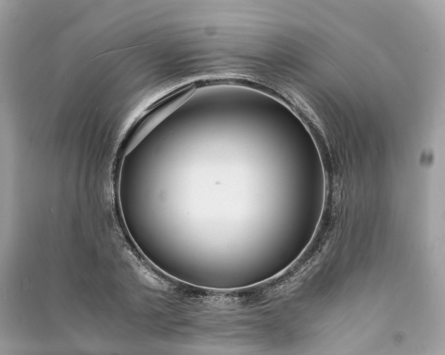 X0000090990789200708091518