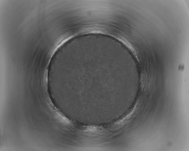 X0000090990790200708091518