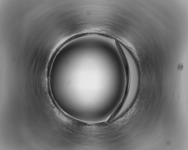 X0000090990792200708091518