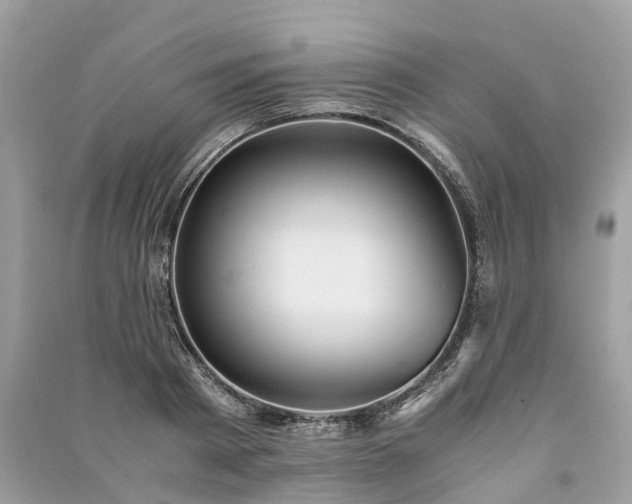 X0000090990793200708091518