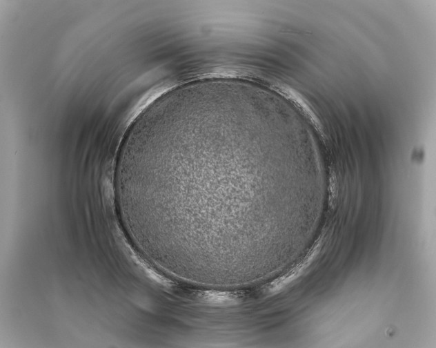 X0000090990794200708091518