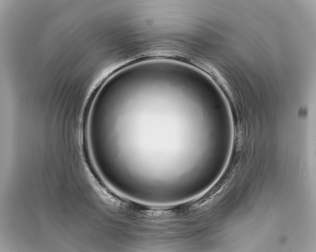 X0000090990795200708091518