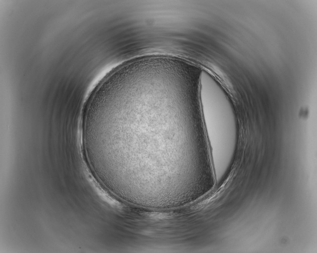 X0000090990796200708091518