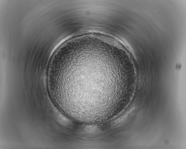 X0000090990798200708091518