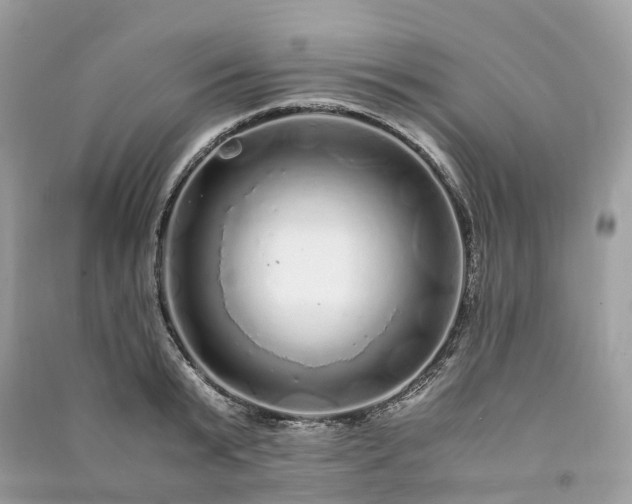 X0000090990799200708091518