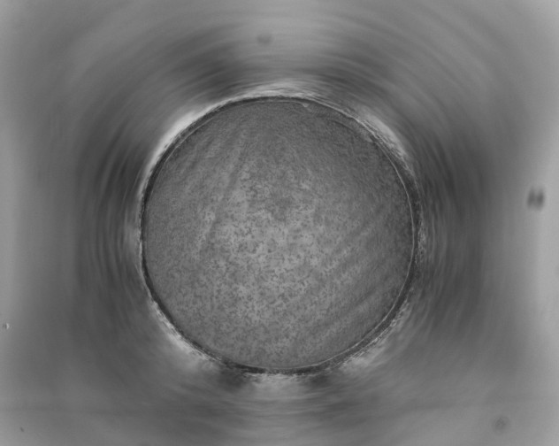 X0000090990800200708091518