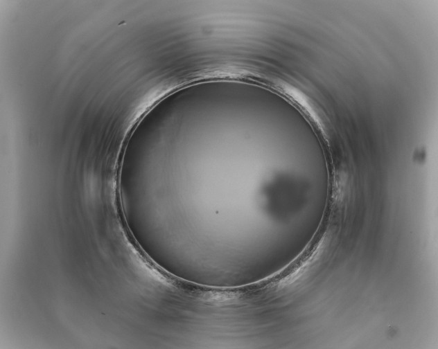 X0000090990802200708091518