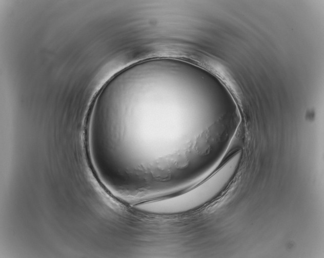 X0000090990803200708091518