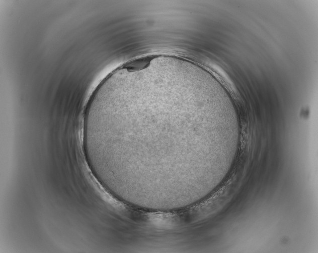 X0000090990804200708091518