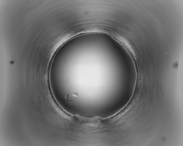 X0000090990805200708091518