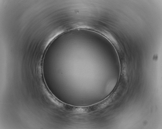 X0000090990806200708091518