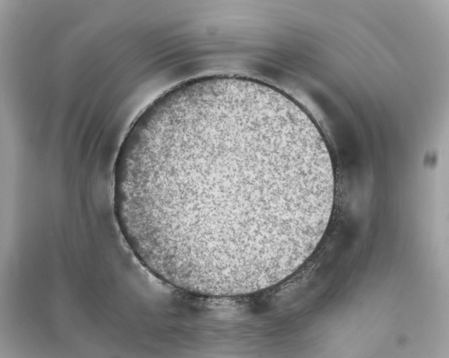 X0000090990807200708091518