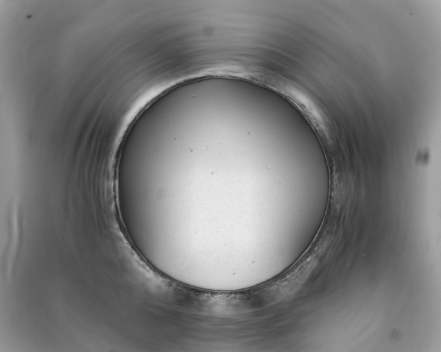 X0000090990808200708091518