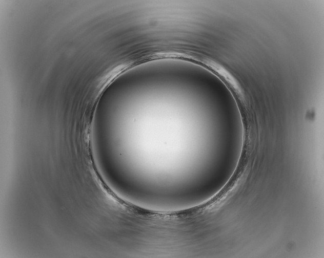 X0000090990809200708091518