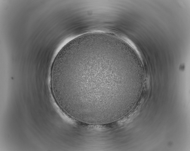 X0000090990811200708091518