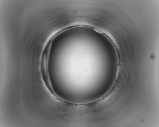 X0000090990815200708091517