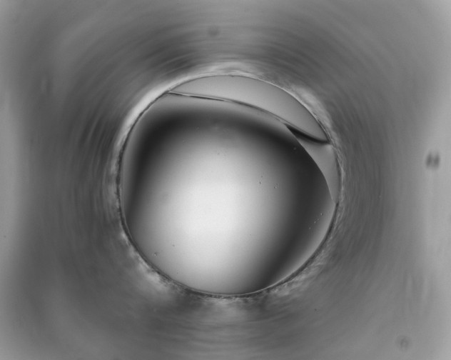 X0000090990816200708091517